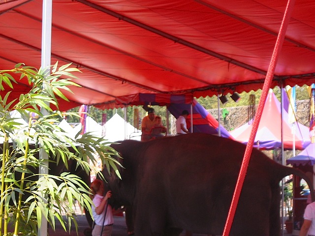 082902 CAStateFair 001