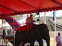 082902 CAStateFair 002