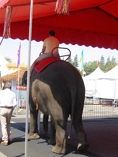 082902 CAStateFair 006