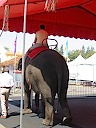 082902 CAStateFair 006