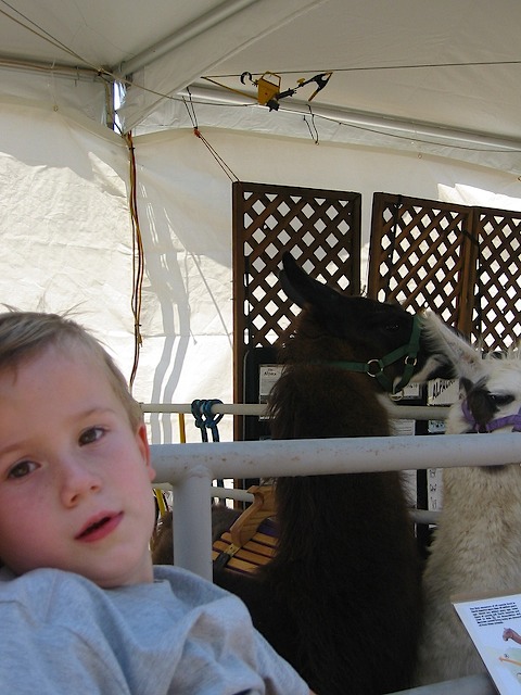 082902 CAStateFair 008