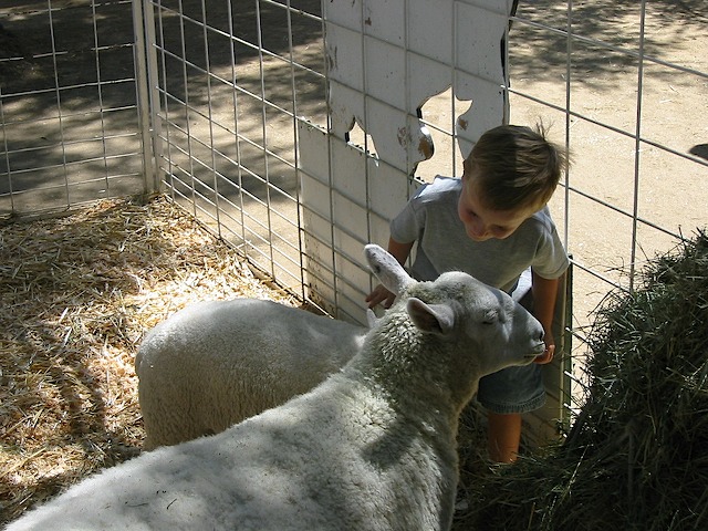 082902 CAStateFair 018