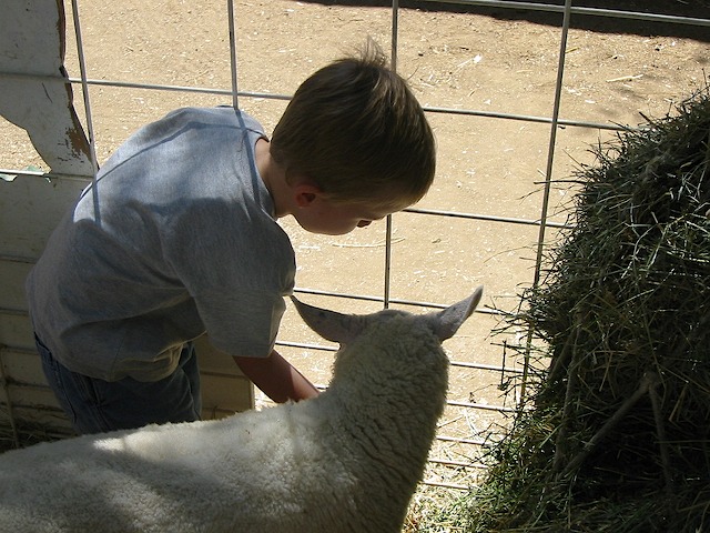 082902 CAStateFair 019
