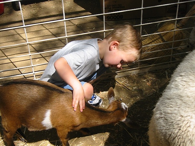 082902 CAStateFair 021