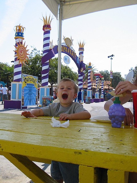 082902 CAStateFair 030