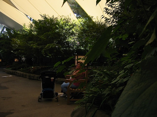 082902 CAStateFair 061